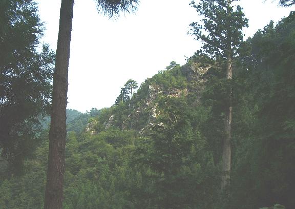 �ɐS���Ԕ֍�